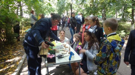 1 сентября 2015 года в парке им. А. Матросова обучающиеся и педагоги ДЮЦ № 3 приняли участие в праздничной программе, посвящённой празднованию «Дня знаний!».