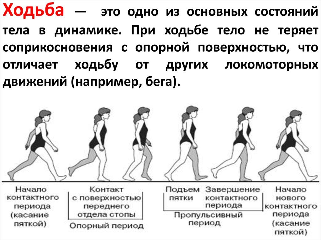 Примеры группы движений. Биомеханика ходьбы и бега кратко. Виды походок. Ходьба Тип движения. Виды походок человека.