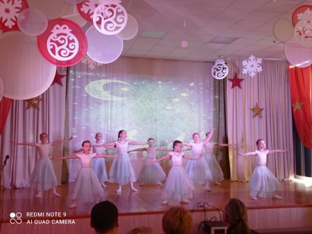 Гала -концерт "Рождественская звезда"