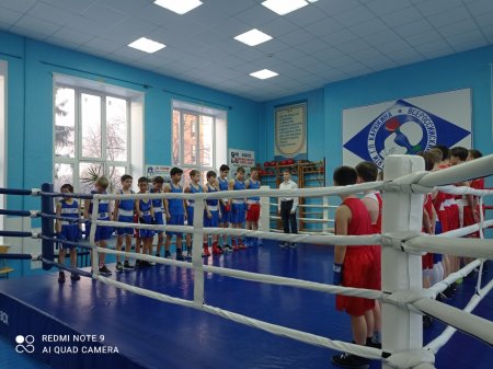 Соревнования по боксу, посвящённые Дню Героев Отечества
