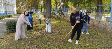 Областной субботник